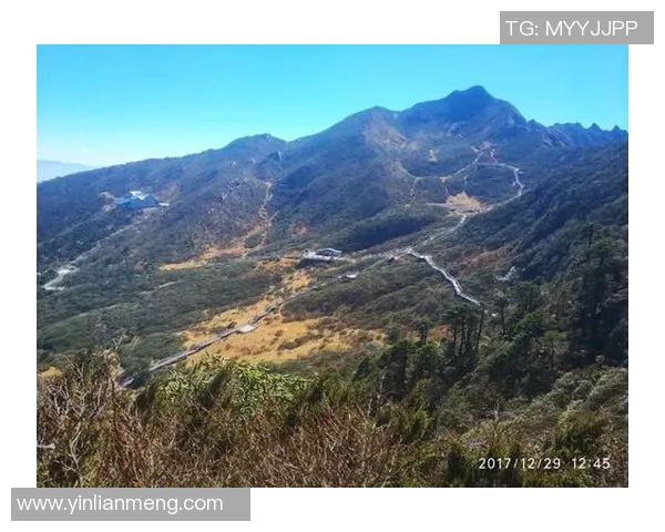 德利塔对决精彩纷呈解析两队实力与战术博弈的全景展现